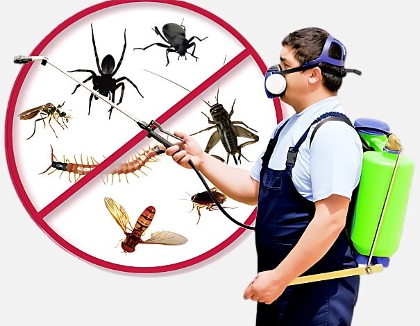 Pest Control in Jaipur