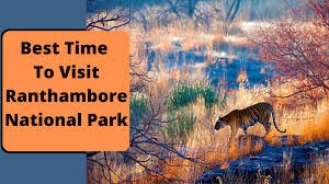 best time to visit in Ranthambore