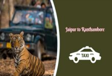Taxi from Jaipur to Ranthambore
