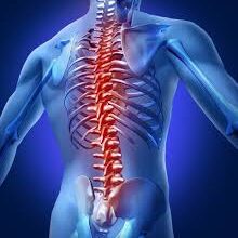 Spinal Surgery India