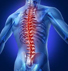 Spinal Surgery India