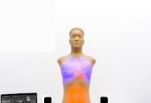 Auscultation Simulator