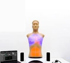 Auscultation Simulator