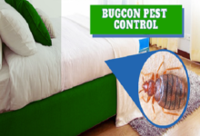 Jaipur Bedbugs Control