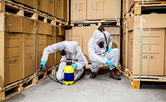 Industrial Pest Control in Jaipur