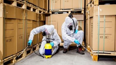 Commercial Pest Control Service in Jaipur