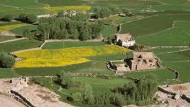 Land Conversion Consultant in Rajasthan