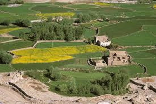 Land Conversion Consultant in Rajasthan