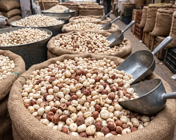 Premium quality makhana bulk