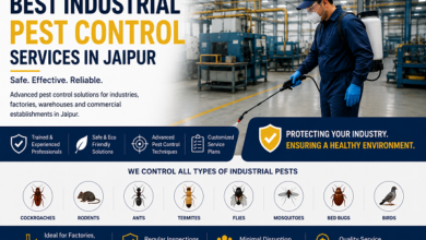 Best Industrial Pest Control Services in Jaipur