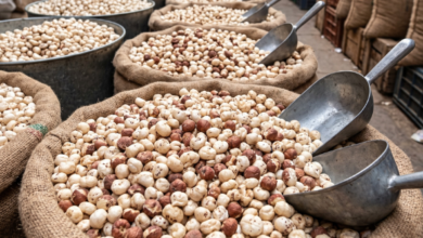 Makhana manufacturer in Bihar